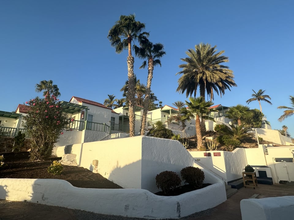 Gartenanlage Aldiana Club Fuerteventura