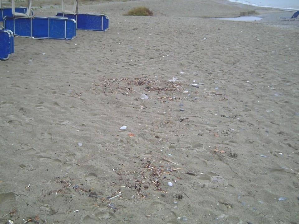 Dreck Olympian Bay Grand Resort