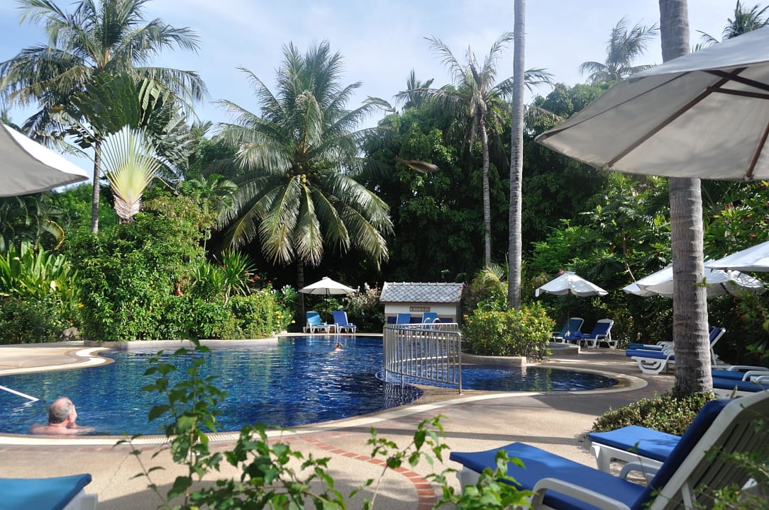 Pool nahe der Rezeption Paradise Beach Resort, Samui