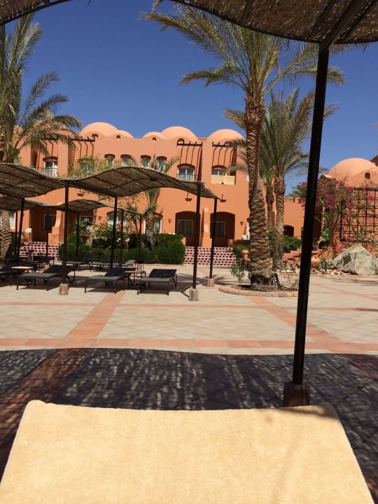 Schöne Aussicht  Jaz Makadi Oasis Resort