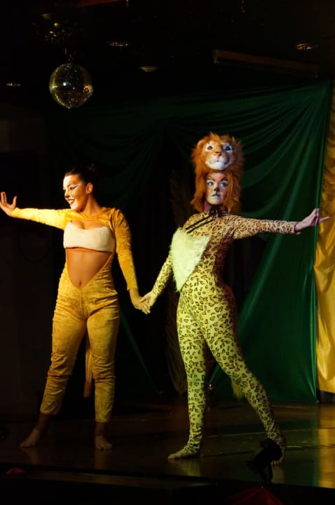 Musical König der Löwen allsun App.-Hotel Esquinzo Beach