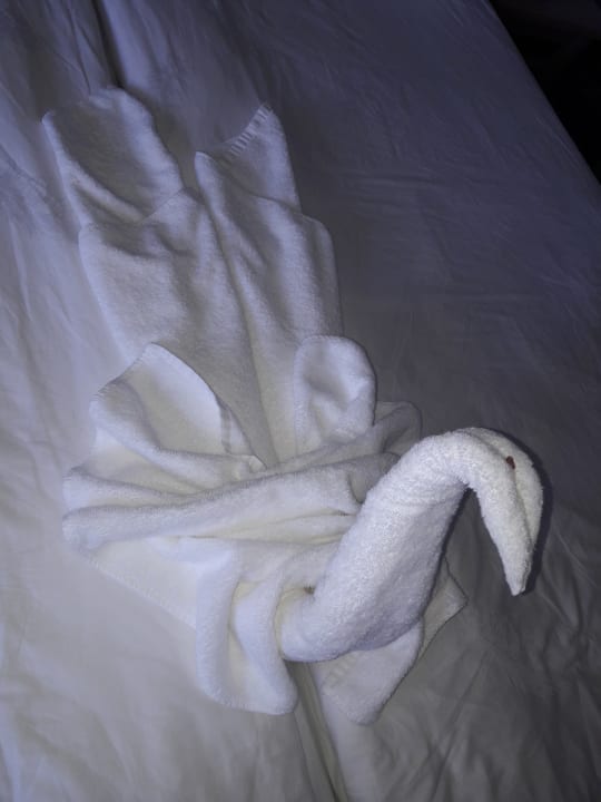 Zimmer HVD Clubhotel Miramar