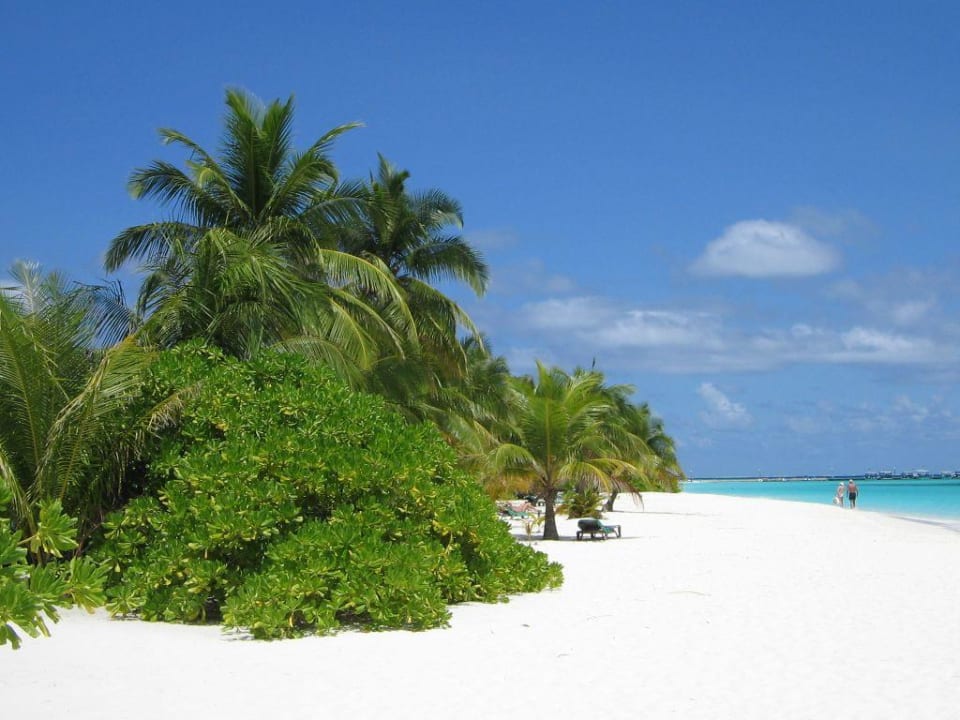 Traumstrand Sangu Kuredu Island Resort & Spa