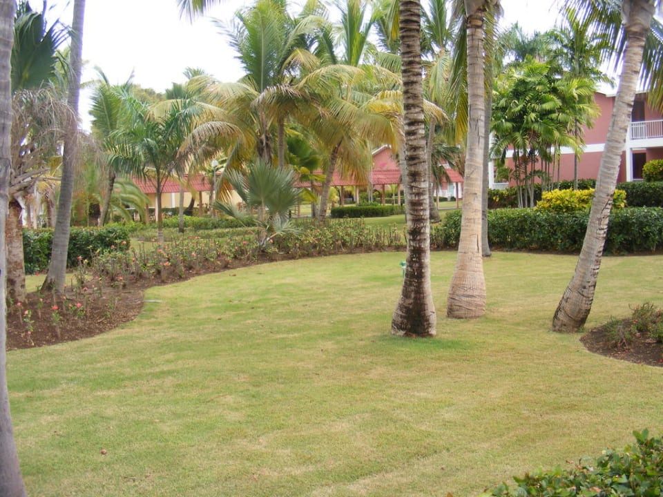 Blick aus unserem Zimmer Grand Palladium Select Bávaro Resort & Spa