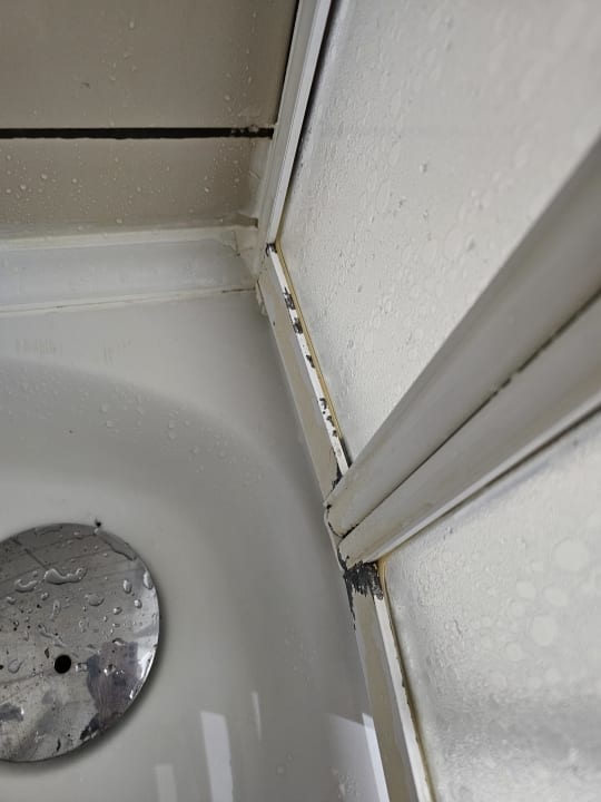 Zimmer Palmeras Beach Hotel