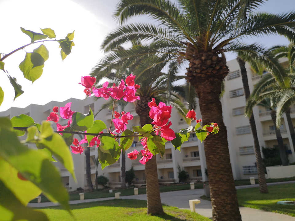 Gartenanlage Hotel Marhaba Club