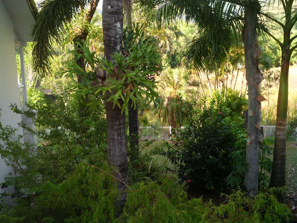 Ausblick Hotel Grand Chancellor Palm Cove