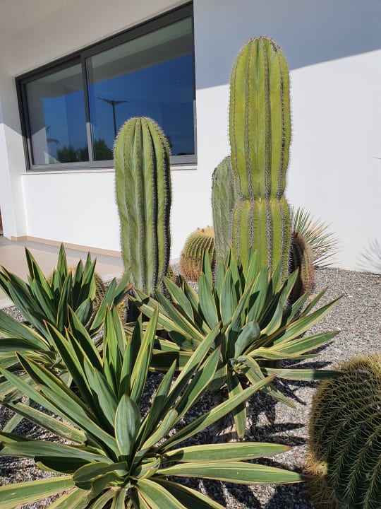 Sonstiges Rhodos Horizon Resort