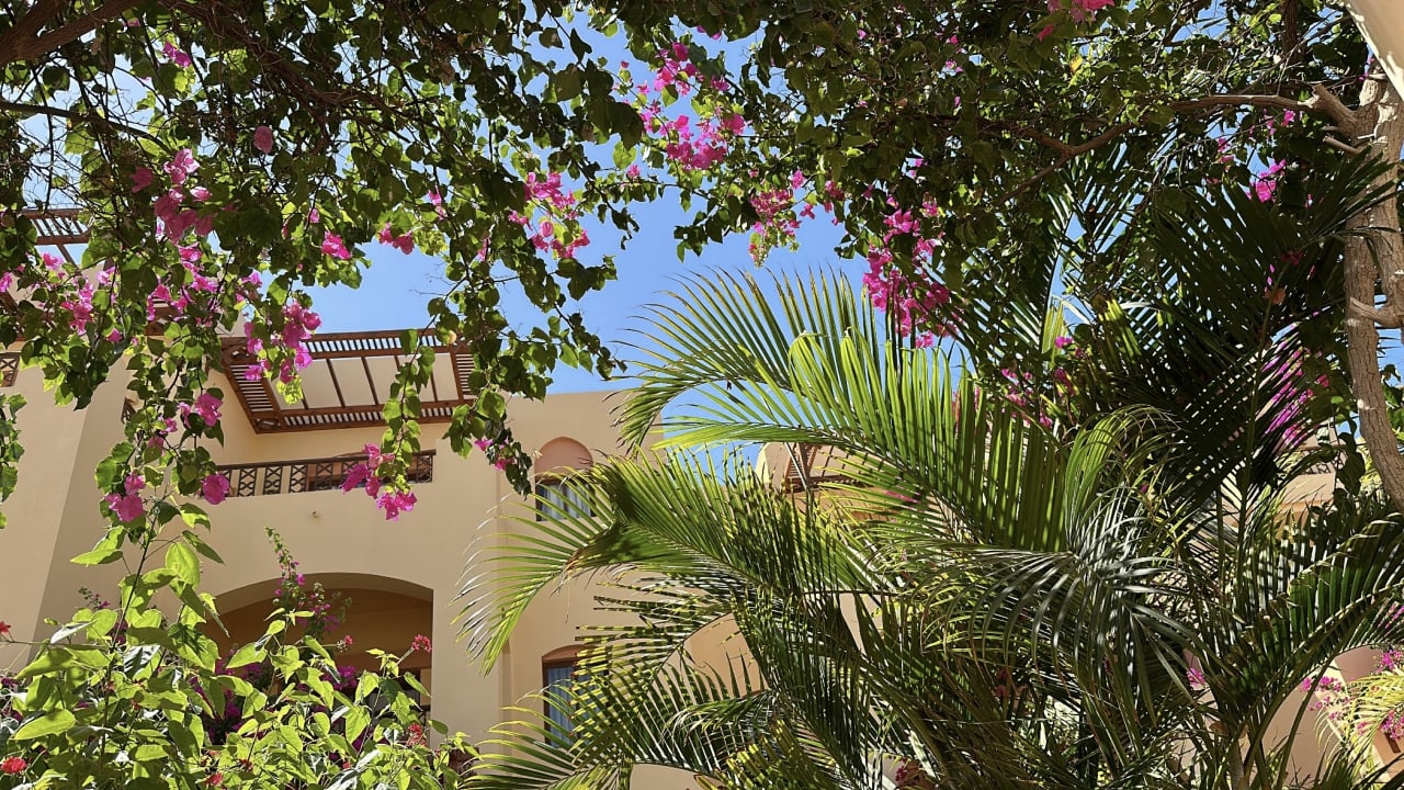 Gartenanlage Steigenberger Coraya Beach - Adults only