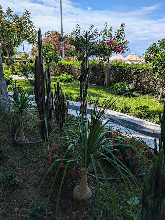 Gartenanlage Nerton Hotel - Erwachsenenhotel ab 16 Jahren