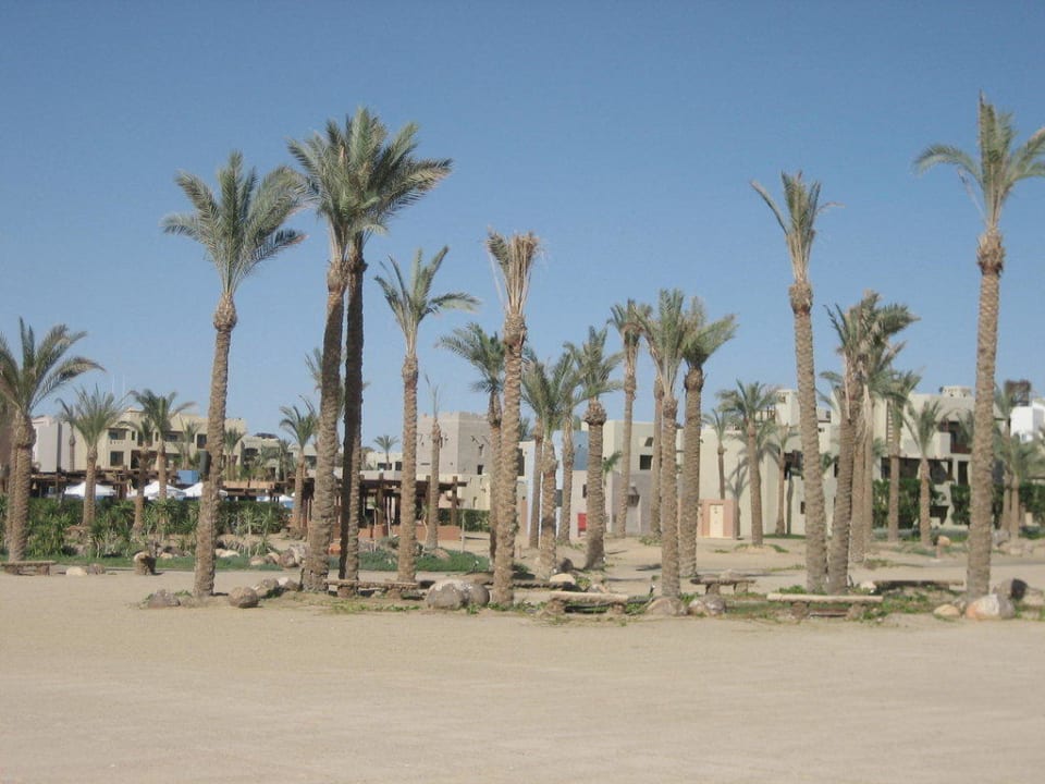 Strand Pickalbatros Sands Hotel - Port Ghalib