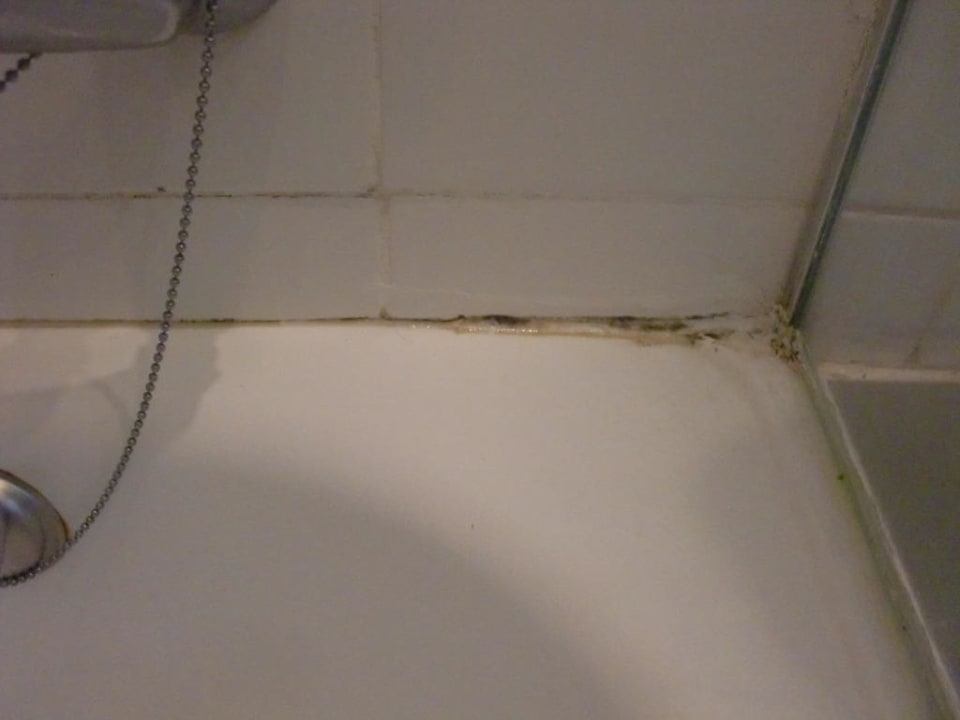 Schimmel Bahia Principe Sunlight San Felipe