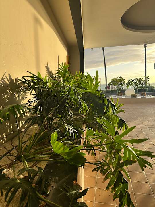 Außenansicht Hotel Riu Gran Canaria