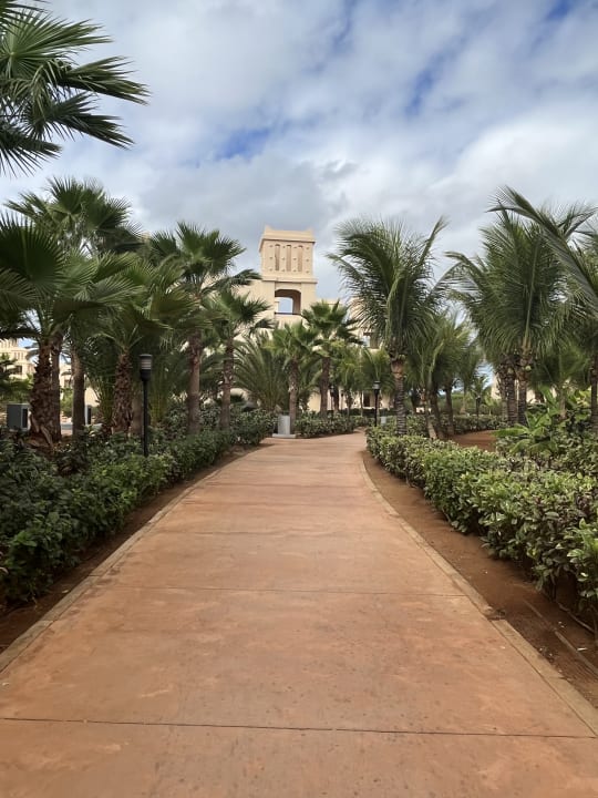 Gartenanlage Hotel Riu Touareg