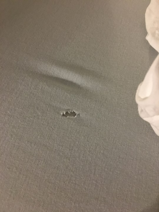 Zimmer Business Vital Hotel am Rennsteig