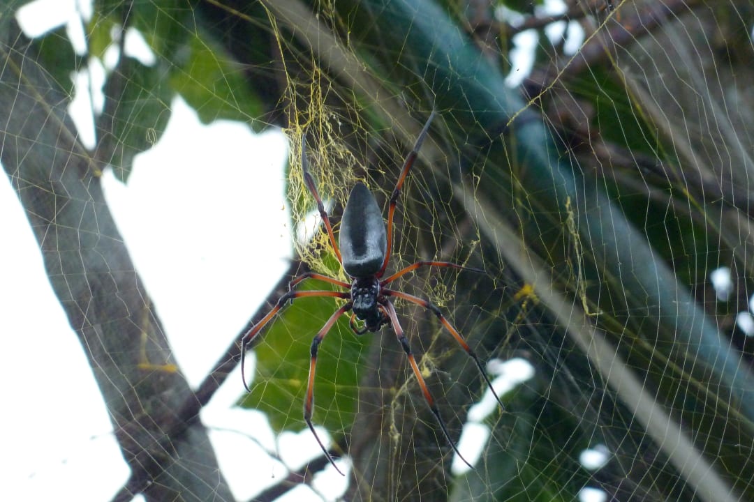 Tekla La Digue Island Lodge