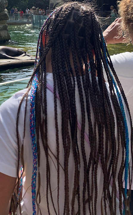 Sonstiges Pickalbatros Citadel Resort