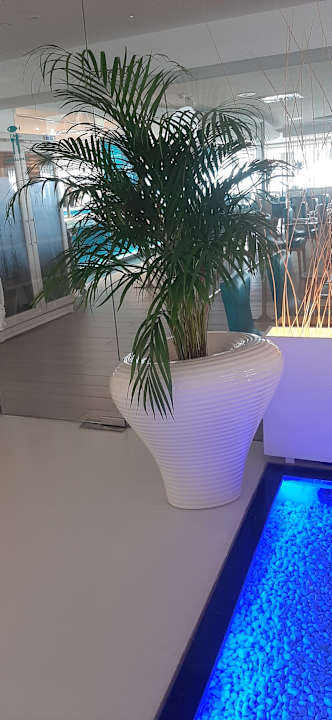 Lobby The Sea Hotel by Grupotel - Adults only