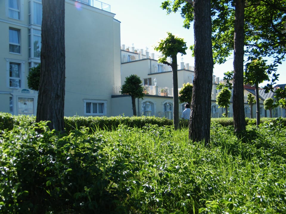 Von der Strandpromenade Rugard Thermal Strandhotel