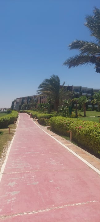 Gartenanlage Fort Arabesque Resort, Spa & Villas