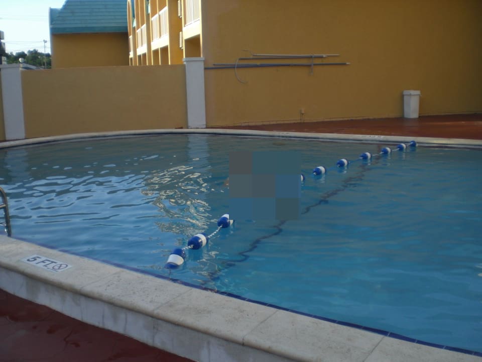 Pool Econo Lodge Busch Gardens Tampa