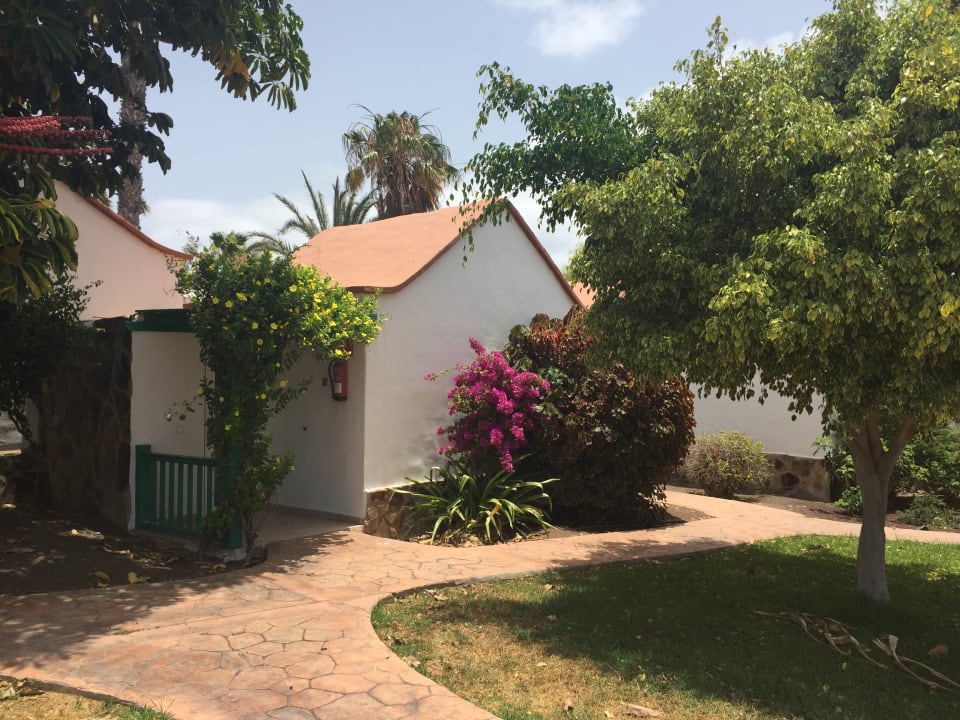 Gartenanlage Aldiana Club Fuerteventura