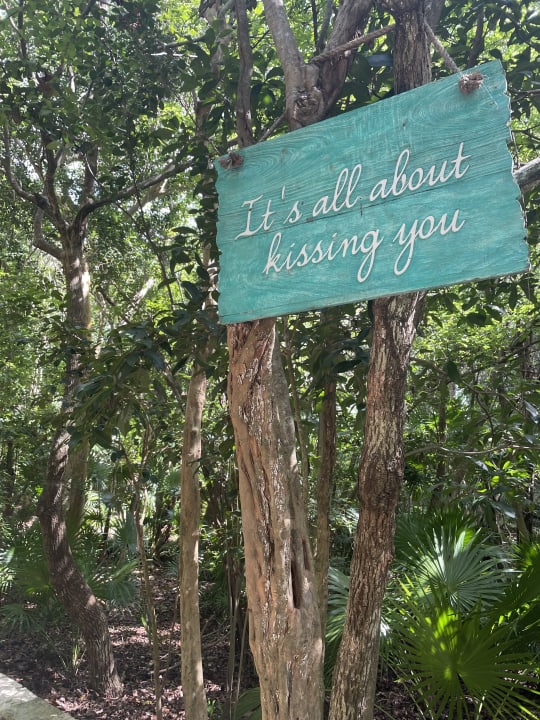 Gartenanlage Catalonia Royal Tulum Beach & Spa Resort - Adults only