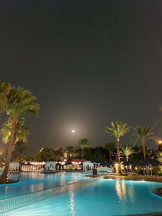 Ausblick Desert Rose