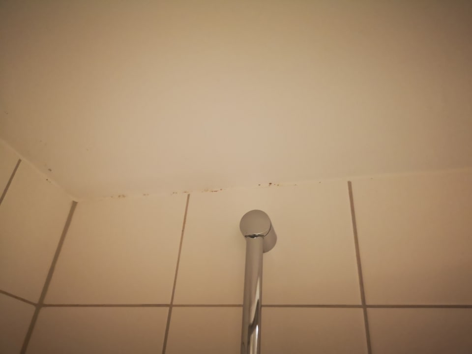 Zimmer Gästehaus Holzer