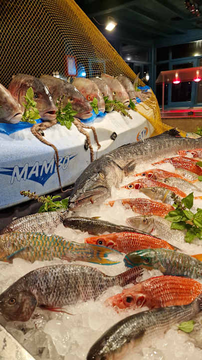 Gastro Club Paradisio El Gouna, Red Sea