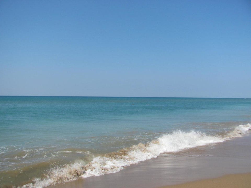 Perfekt Royal Atlantis Beach Hotel