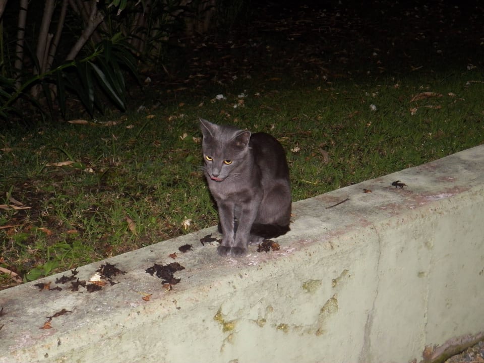 VON Resort Golden Coast VONRESORT Golden Coast