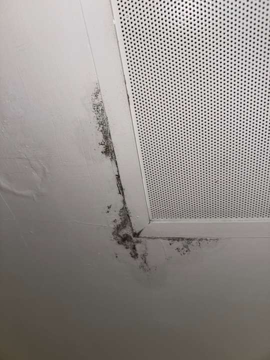 Zimmer Club Hotel Drago Park