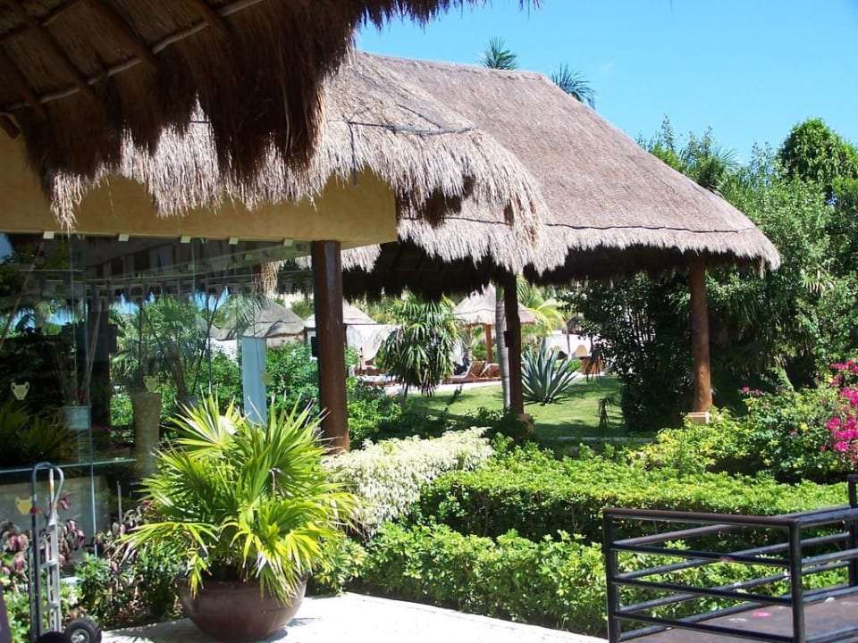 Lobby TRS Yucatan Hotel - Adults only