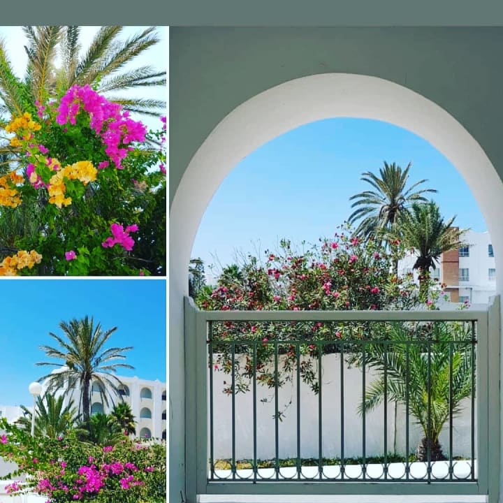 Gartenanlage Calimera Yati Beach