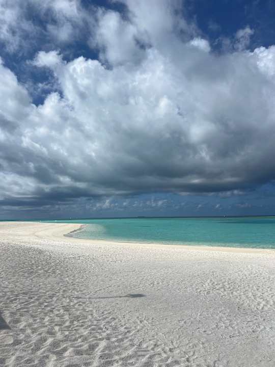 Strand Cinnamon Velifushi Maldives - Free One-Way Speedboat and 02 Kids Under 12 Stay & Dine Free