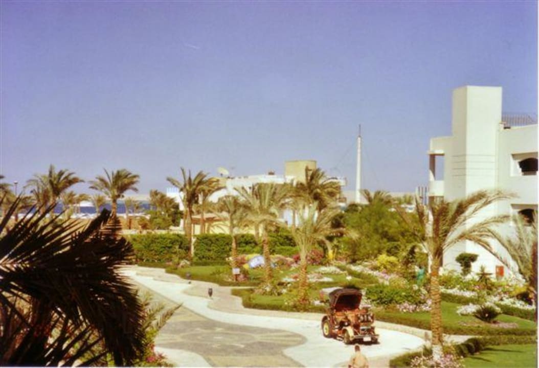 Blick v.Balkon Seagull Beach Resort