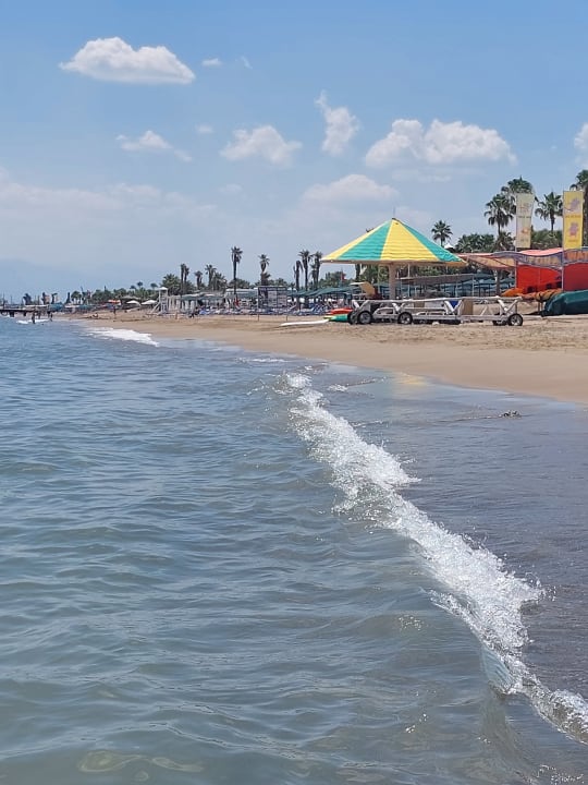 Strand Crystal Tat Beach Pearl Collection