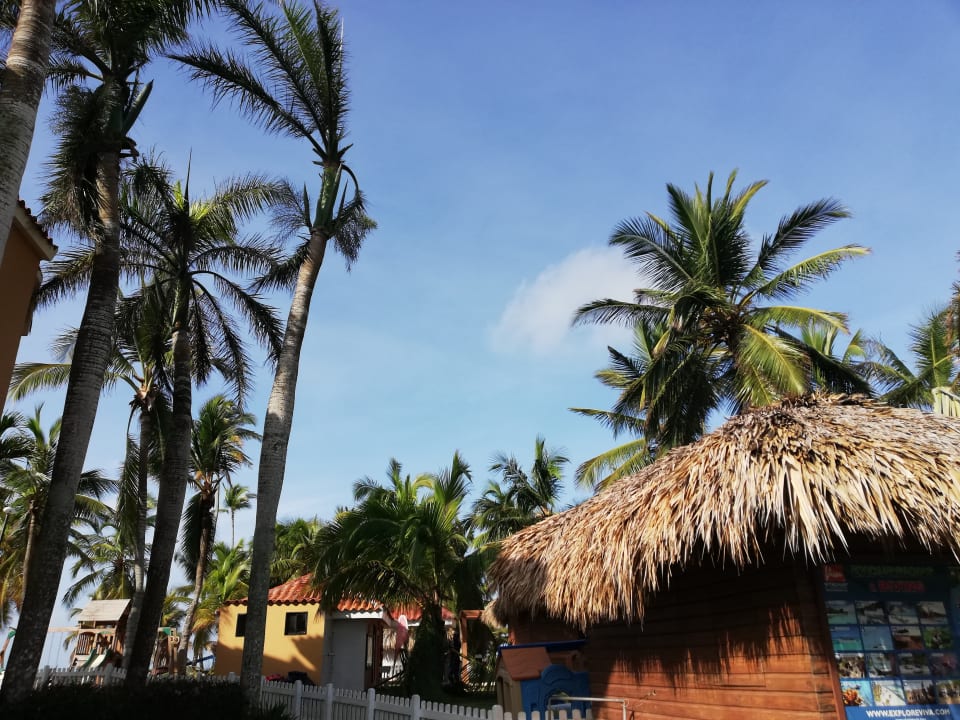 Sport & Freizeit Hotel Viva Dominicus Palace by Wyndham-All Inclusive Resort