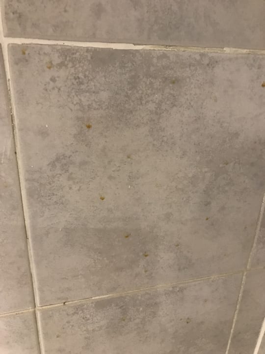 Zimmer Sea Star Beau Rivage