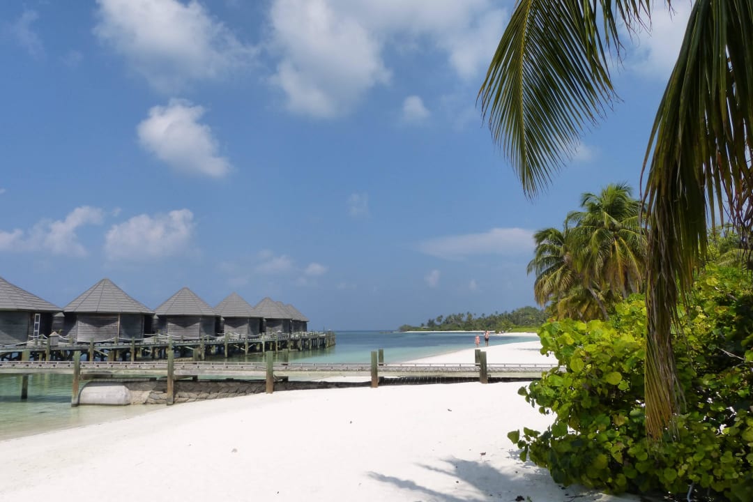 Strand Beachbungalows gegenüber Wasserbungalows Kuredu Island Resort & Spa