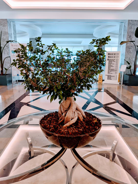 Sonstiges Korumar Ephesus Beach & Spa Resort