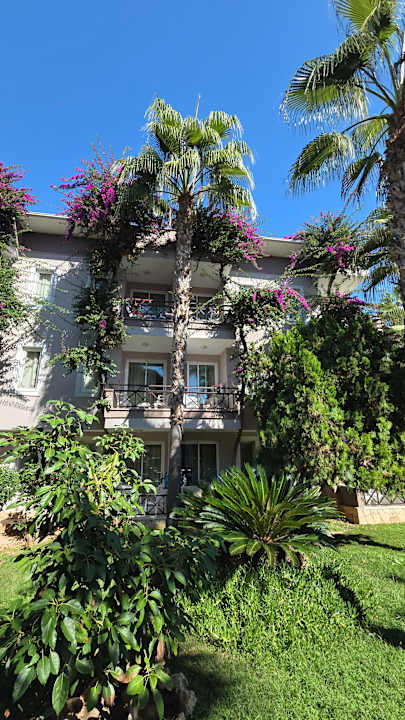 Außenansicht Club Dizalya