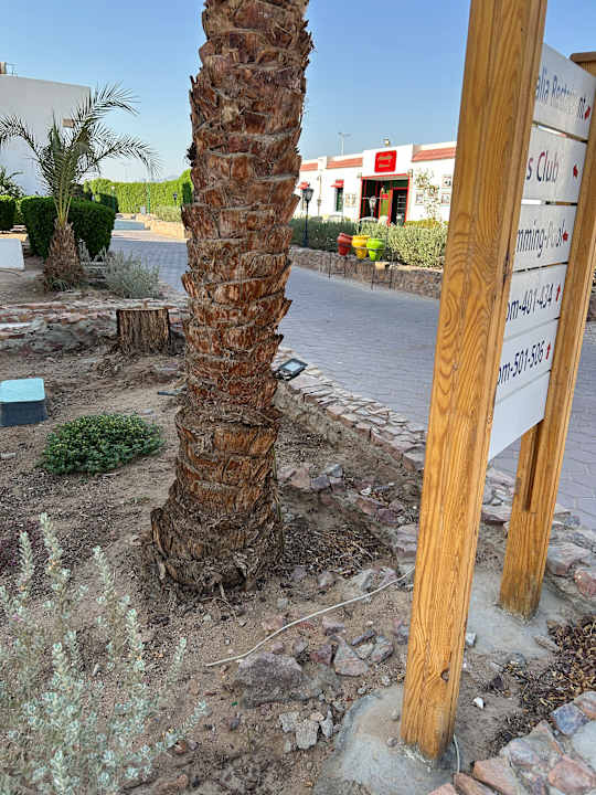 Außenansicht Menaville Safaga