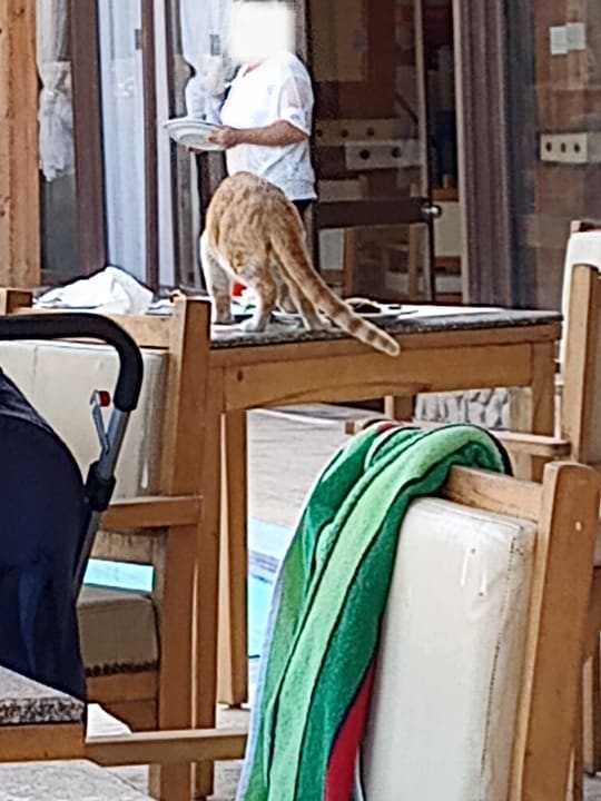 Gastro Regina Resort and Aqua Park Hurghada