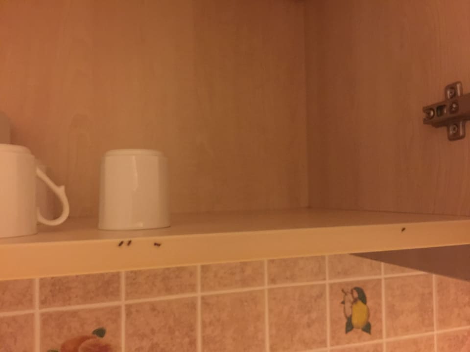 Zimmer VONRESORT Golden Beach