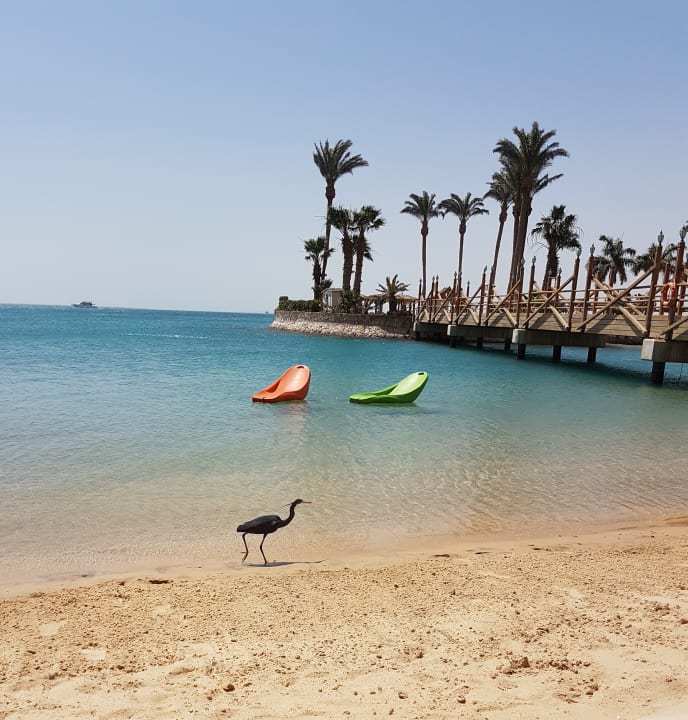 Strand Marriott Hurghada Beach Resort