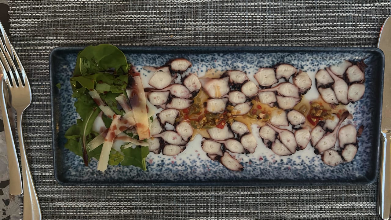 Gastro PALOMA Perissia