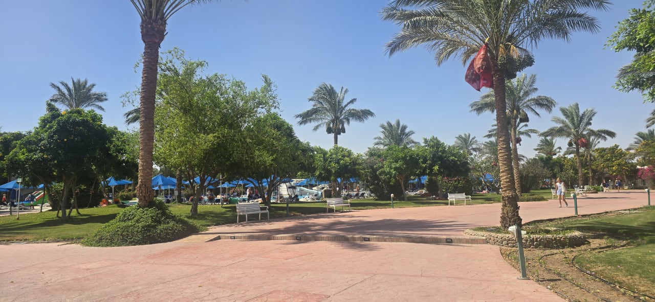 Gartenanlage Desert Rose