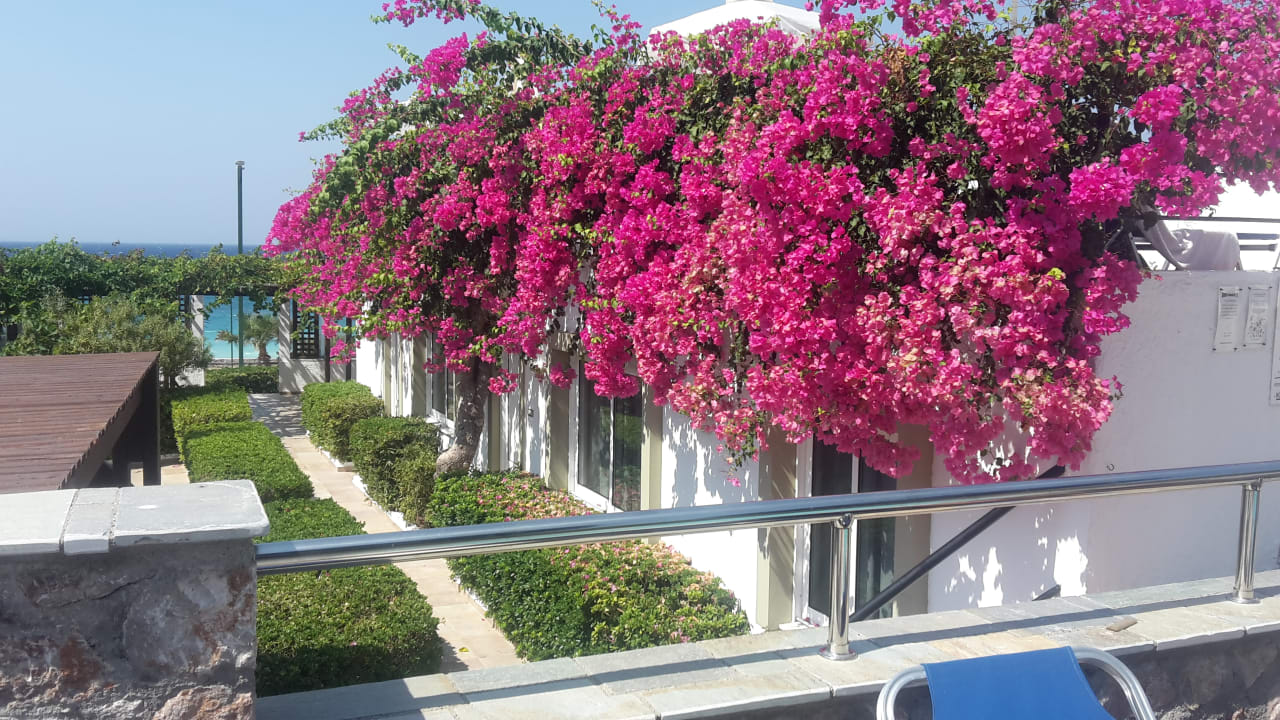 Ausblick Hotel Sirene Beach